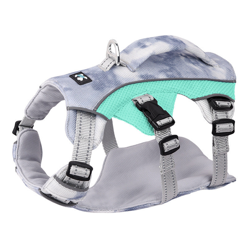Pet Harness with Chain and Ring