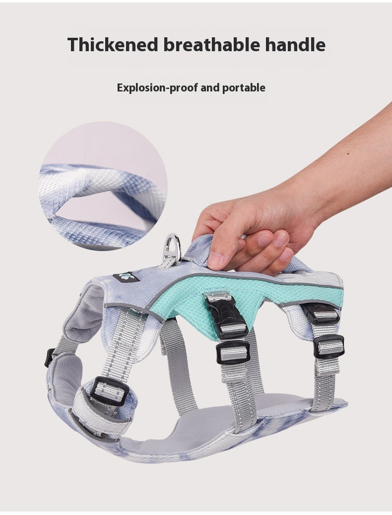 Pet Harness with Chain and Ring
