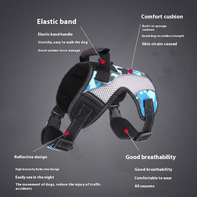 Pet Harness