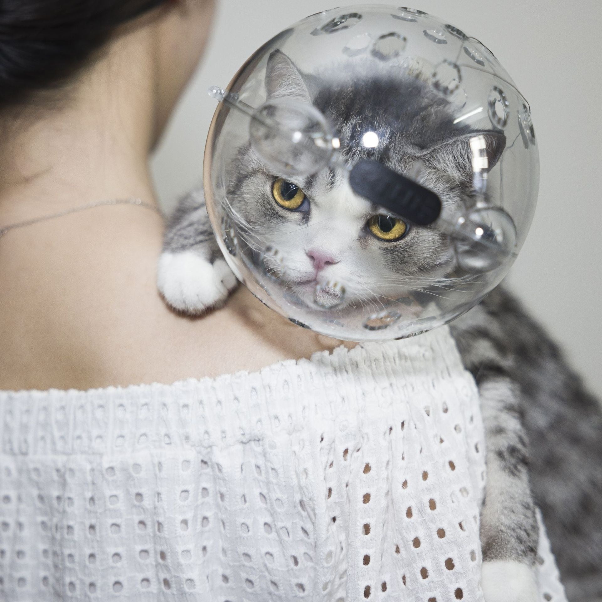Anti-bite head cover for cats