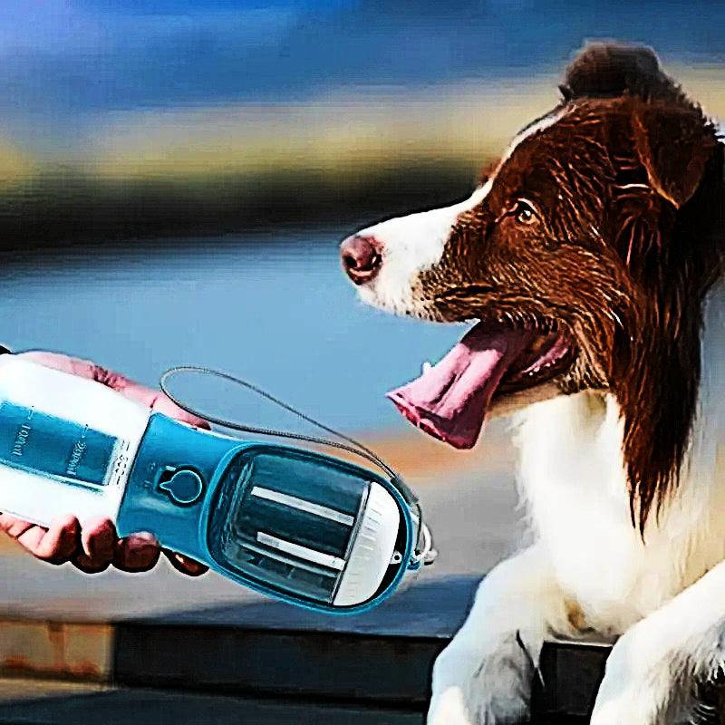 3-in-1 Portable Pet Water Cup