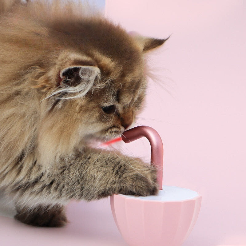 Interactive Cat Toy with Laser