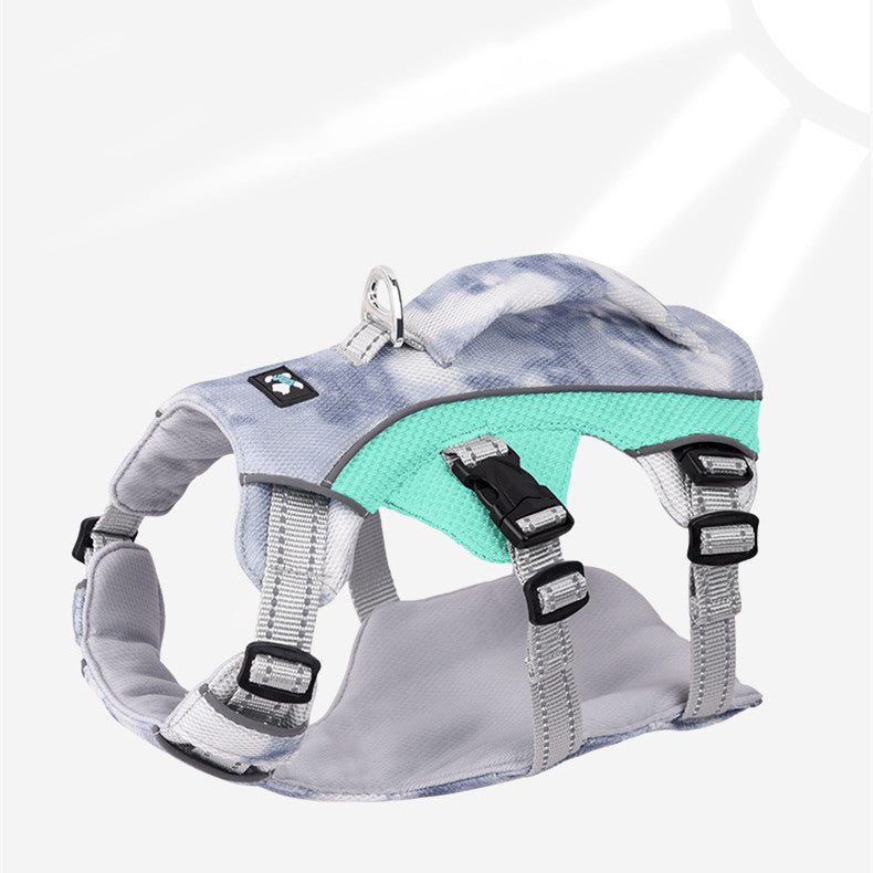 Pet Harness with Chain and Ring