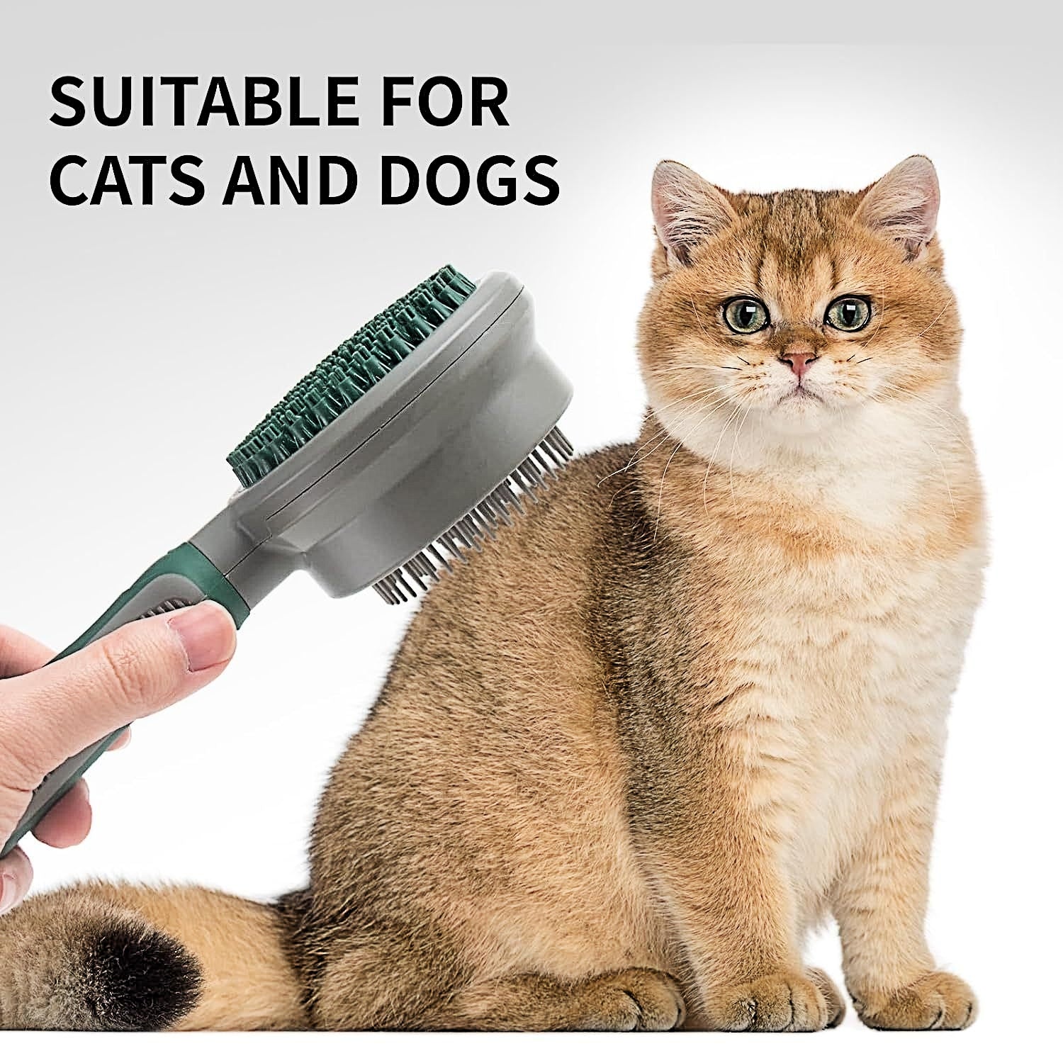 2-in-1 Pet Brush - Detangling and Massage Brush