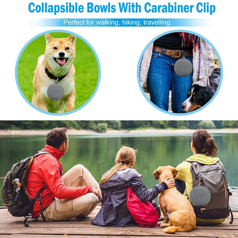 Double Folding Pet Bowl