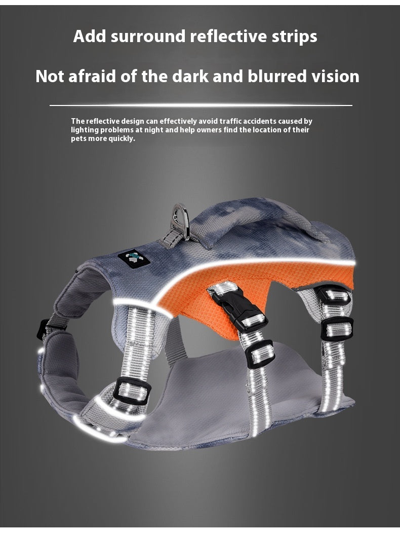 Pet Harness with Chain and Ring