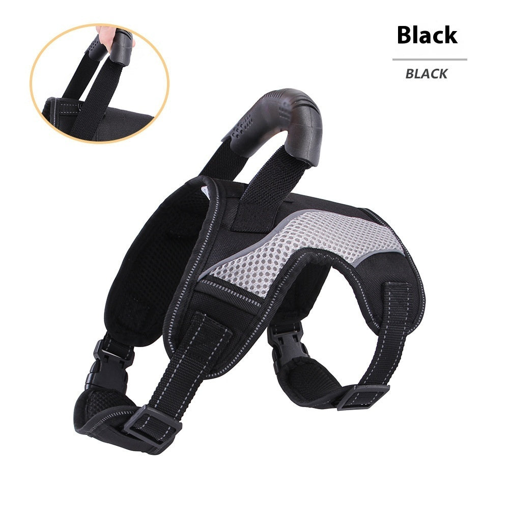 Pet Harness