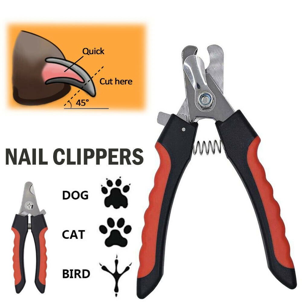 Pet Nail Scissors - Quality and Safety