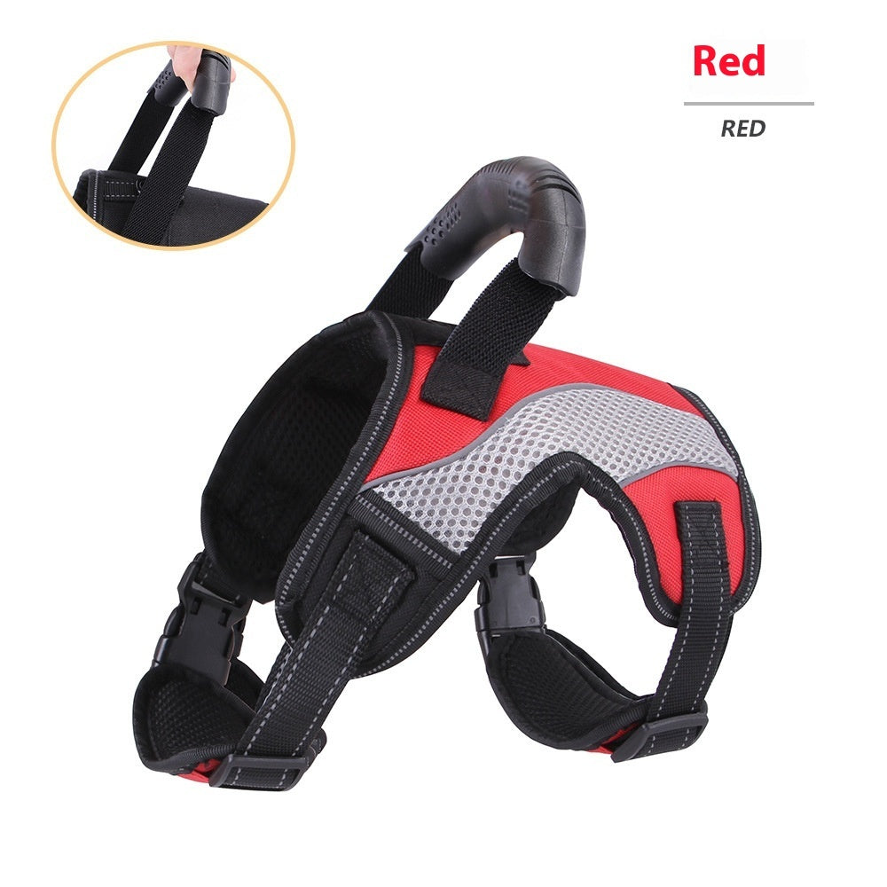 Pet Harness