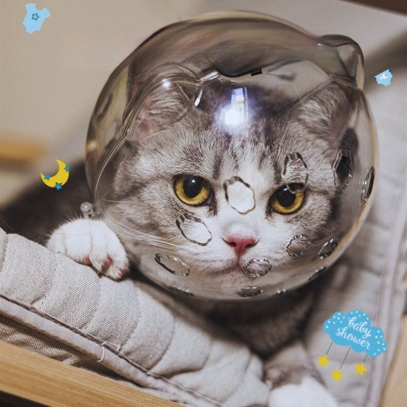 Anti-Bite Kit