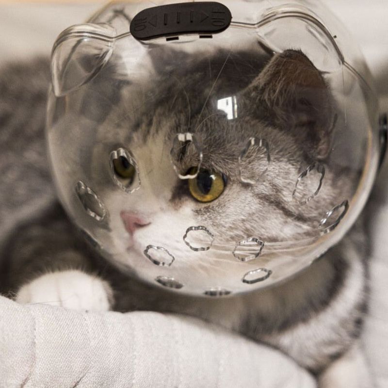Anti-Bite Kit