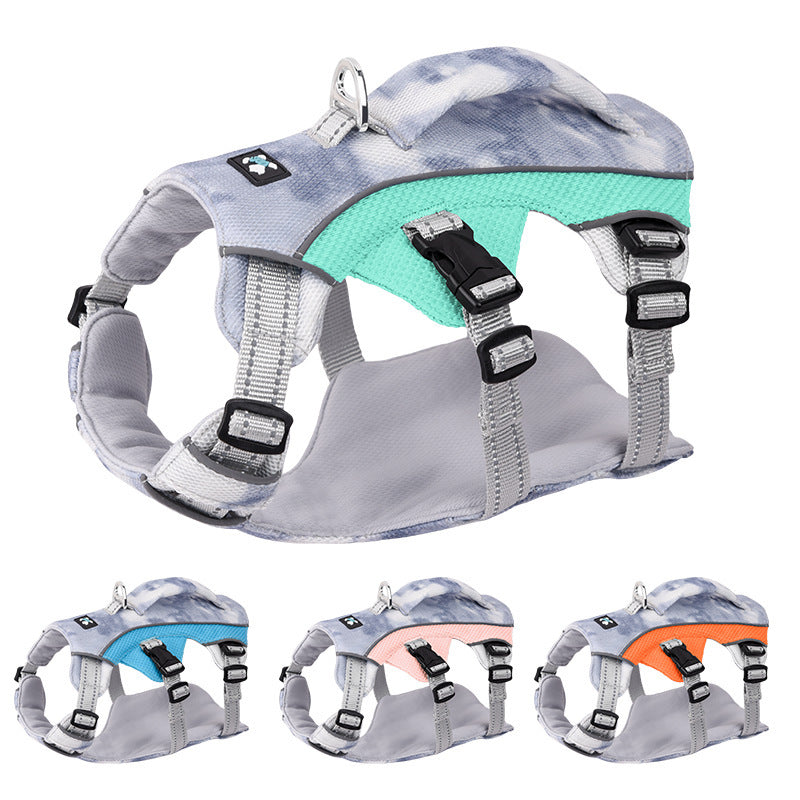 Pet Harness with Chain and Ring