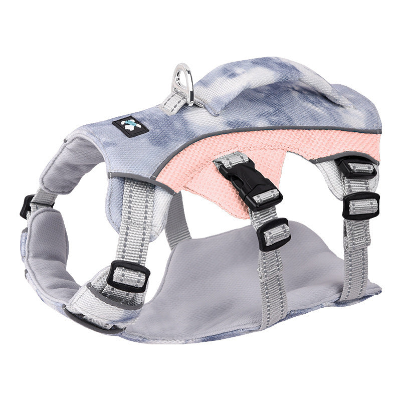 Pet Harness with Chain and Ring
