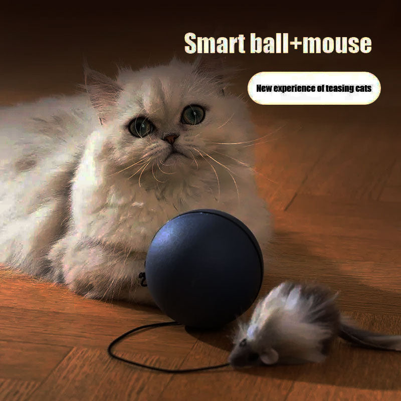 Automatic Electric Ball with Mouse for Cats