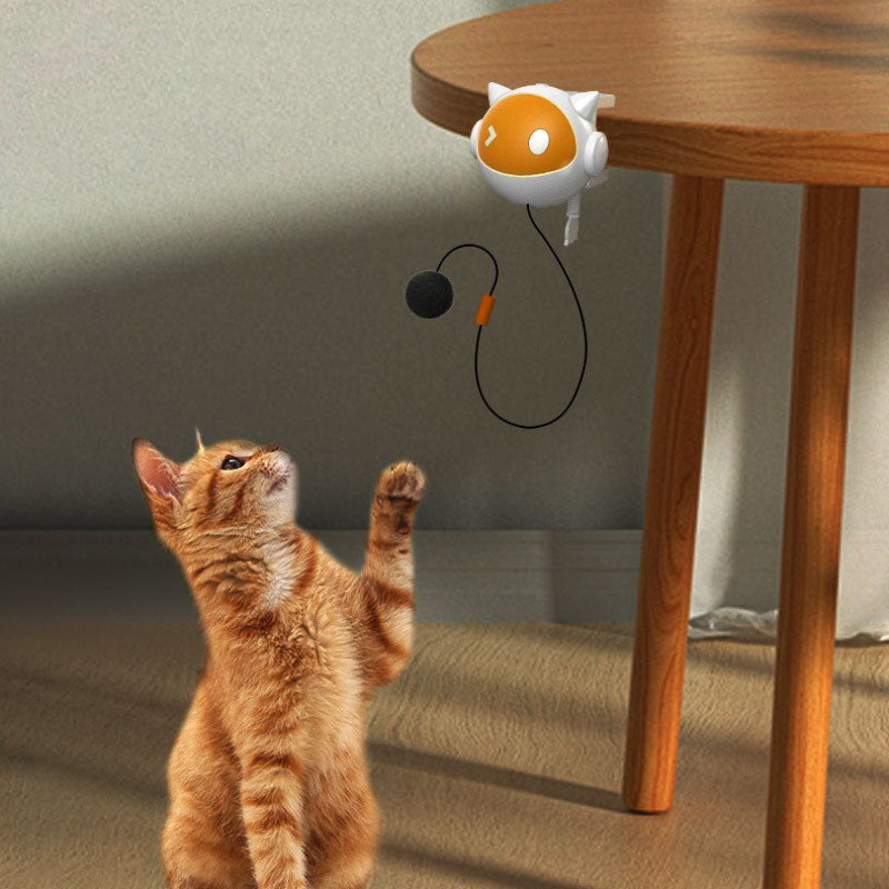 Interactive Cat Ball - Fun and Stimulating Wall Toy