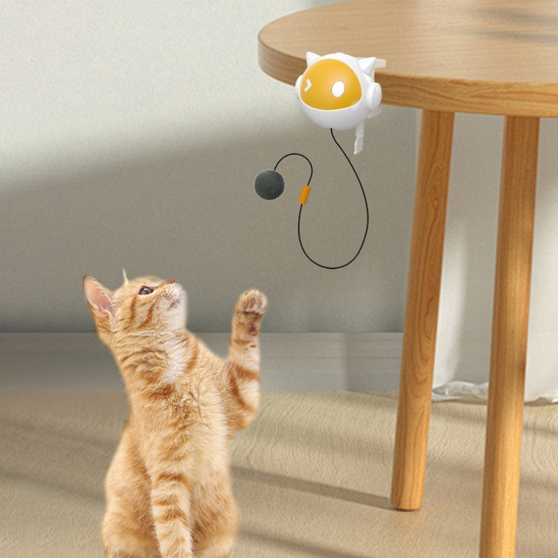 Interactive Cat Ball - Fun and Stimulating Wall Toy