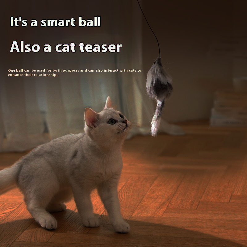 Automatic Electric Ball with Mouse for Cats