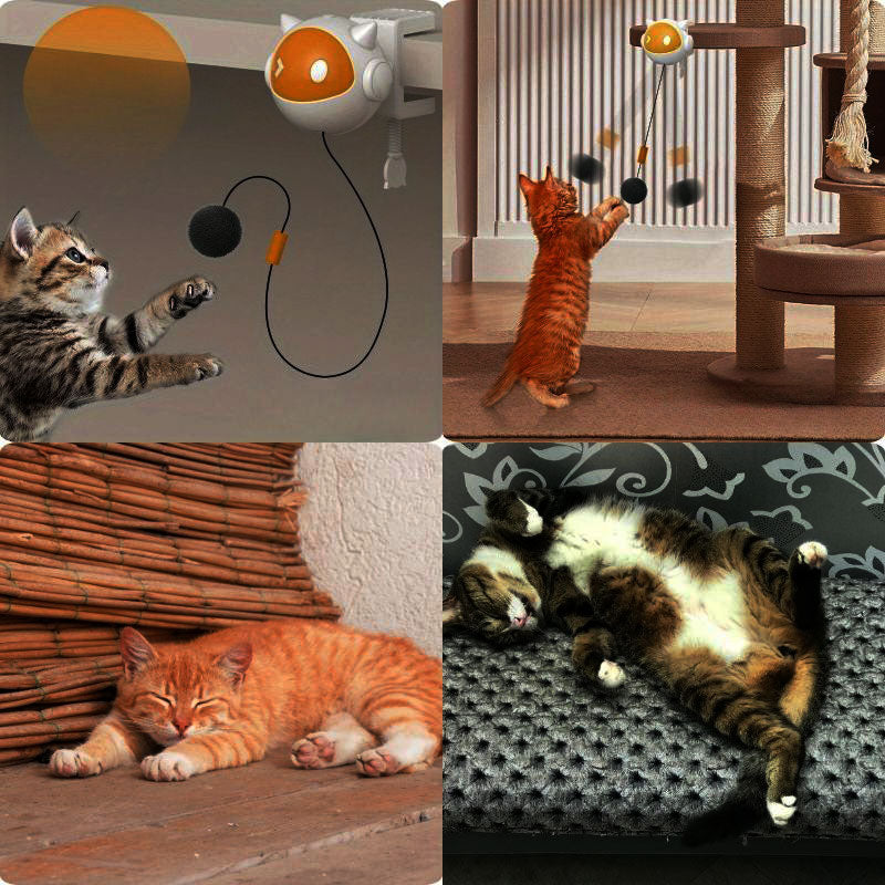 Interactive Cat Ball - Fun and Stimulating Wall Toy