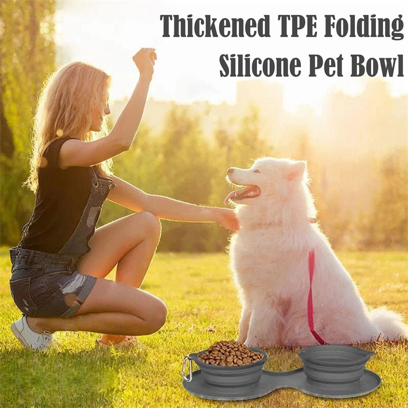 Double Folding Pet Bowl