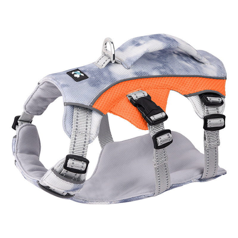 Pet Harness with Chain and Ring