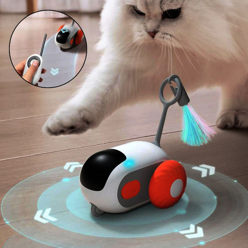 Jouet électrique Télécommandé pour Chat