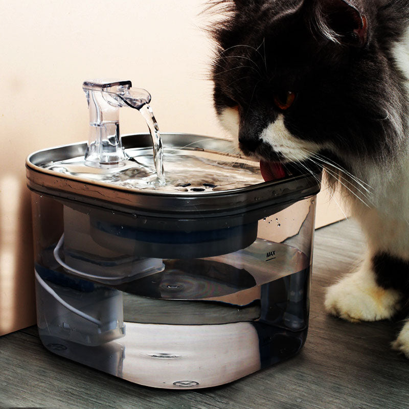 Stainless Steel Water Dispenser for Cats and Dogs