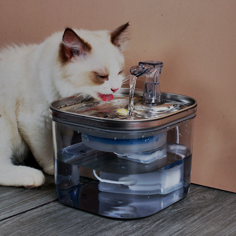 Stainless Steel Water Dispenser for Cats and Dogs