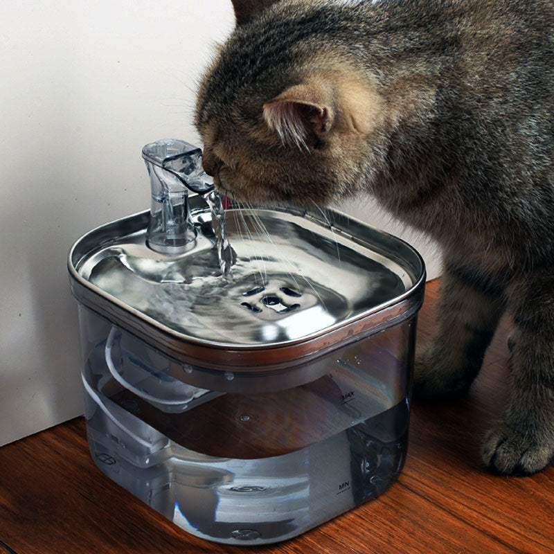 Stainless Steel Water Dispenser for Cats and Dogs