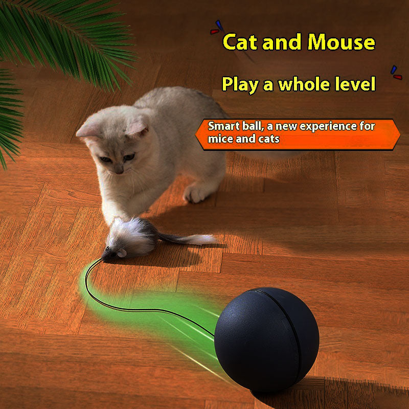 Automatic Electric Ball with Mouse for Cats