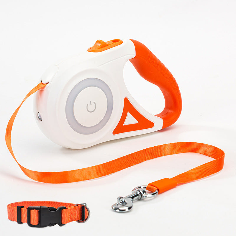 laisse-retractable-chien-avec-collier