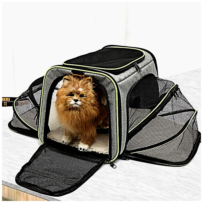 Pet Carrier Bag