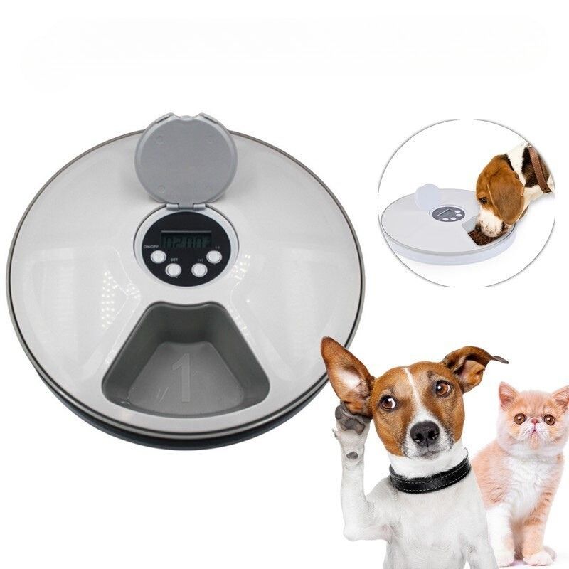 Distributeur Automatique de Nourriture pour Chats et Chiens