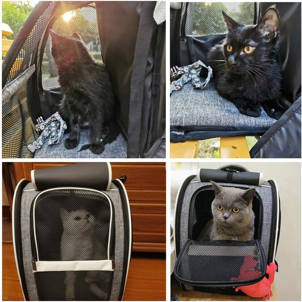 Atmungsaktiver Transportrucksack für Katzen und kleine Hunde