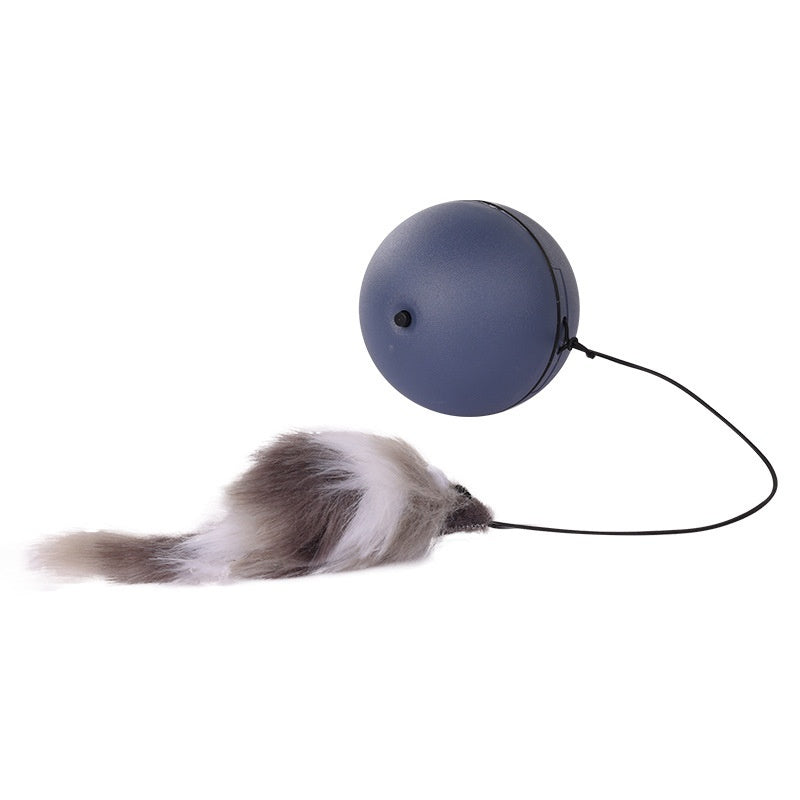 balle-electrique-chat-bleu-gris