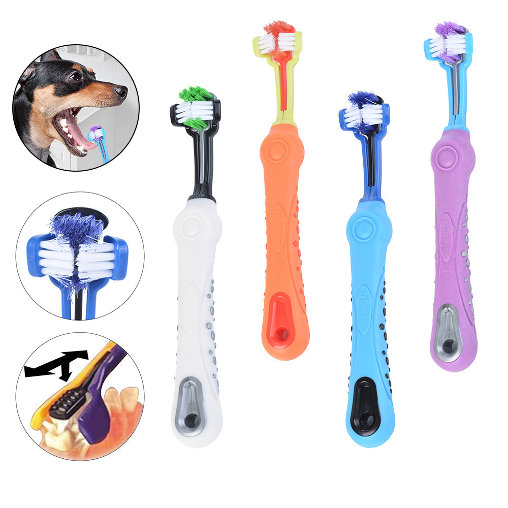 brosse-dents-3-cotes-animaux-vert-bleu-violet