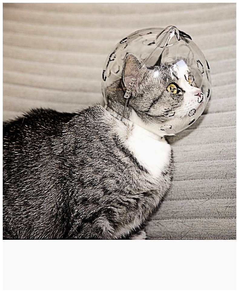 Anti-bite head cover for cats